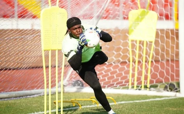 Lawrence Ati-Zigi為迦納世足隊經驗老道的優秀門將